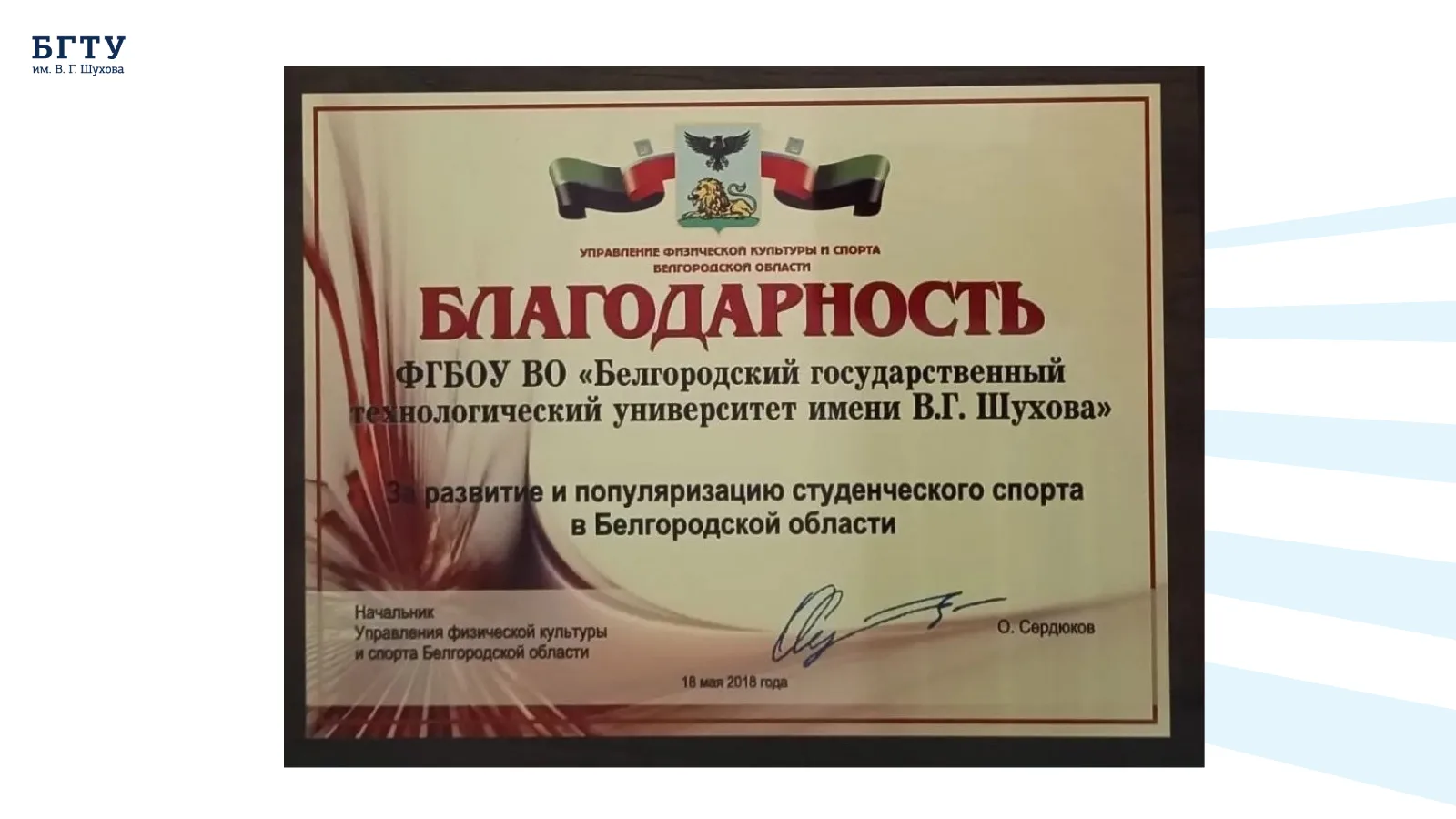 Награды и благодарности муниципальных органов государственной власти. Слайд 11