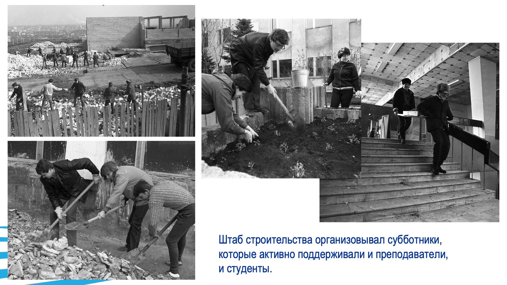 Строительство и благоустройство БГТУ им. В.Г. Шухова. Слайд 20